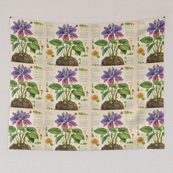 Item preview, Botanical Drawing 10 designed and sold by FeatheredWolf.