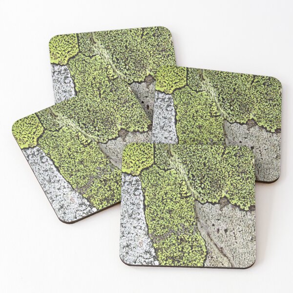 Item preview, lichen designed and sold by KathleenDawson.