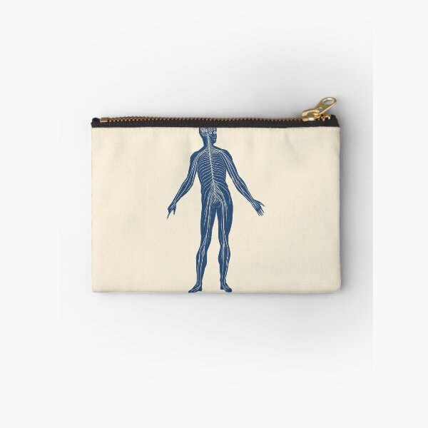 Item preview, Lymphatic System - Vintage Anatomy designed and sold by VAposters.