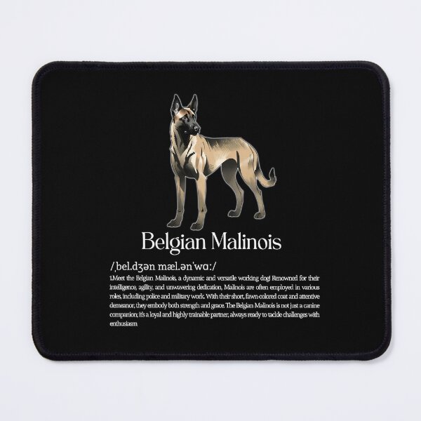 Item preview, Belgian Shepherd Malinois Dog Breed Info designed and sold by GoodyPaws.