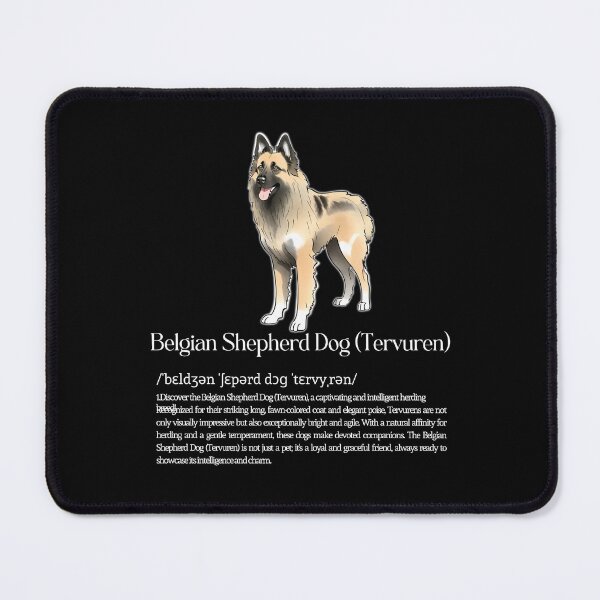 Item preview, Tervueren Dog Breed Info designed and sold by GoodyPaws.