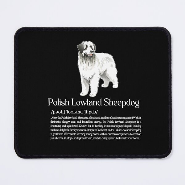 Item preview, Polish Lowland Sheepdog Dog Breed Info designed and sold by GoodyPaws.