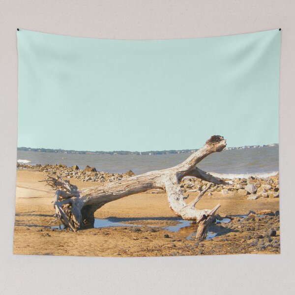 Item preview, Live Oak Graveyard - Jekyll Island designed and sold by Rupprat.