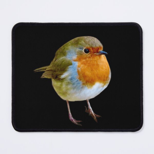 Item preview, Robin designed and sold by SnapsBySara.