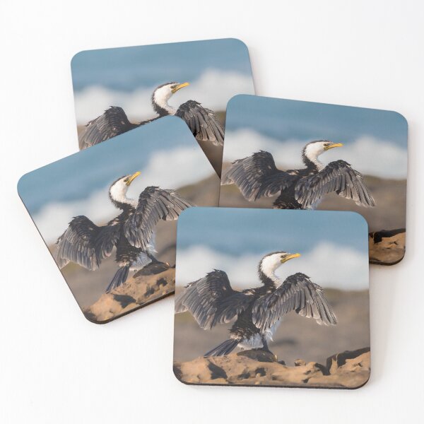 Item preview, Pied cormorant wings - cormorant bird designed and sold by Tara Smithson.