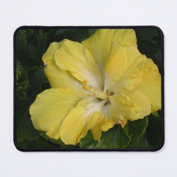 Item preview, Yellow Hibiscus designed and sold by lezvee.