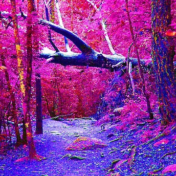 Artwork thumbnail, Fallen Tree - Fantasy by Rupprat