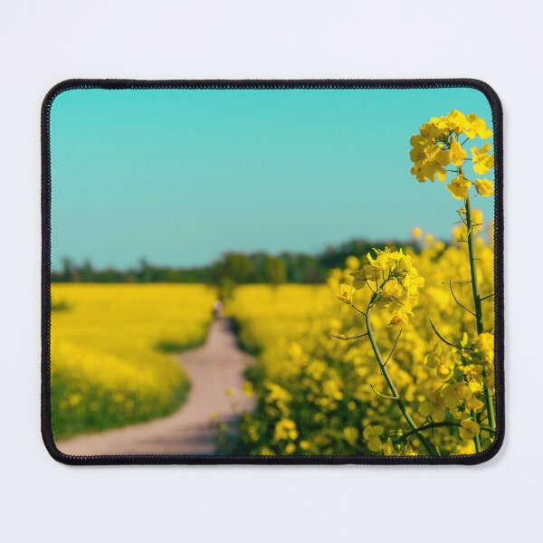 Item preview, canola fields under the sun 01 designed and sold by graziegranata.