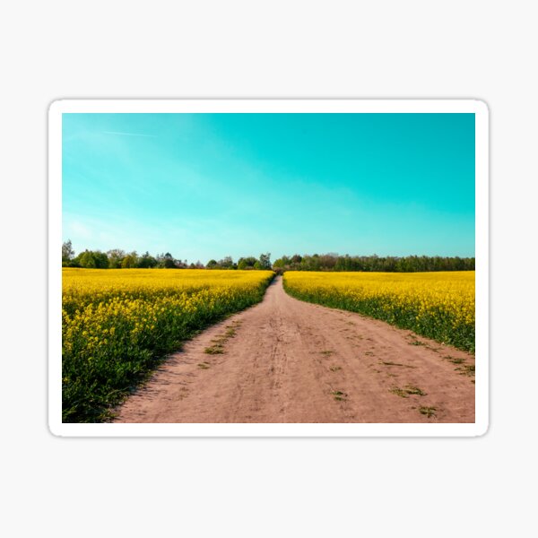 Item preview, canola fields under the sun 02 designed and sold by graziegranata.