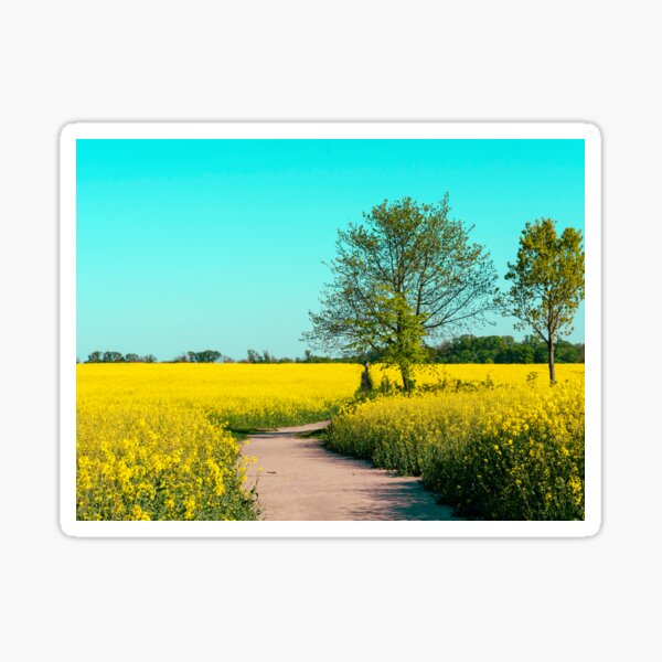 Item preview, canola fields under the sun 05 designed and sold by graziegranata.