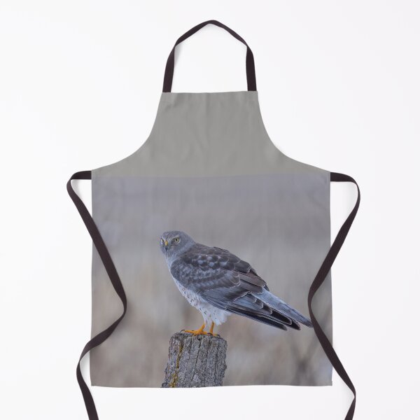 Item preview, Northern Harrier on Post designed and sold by James Cumming.