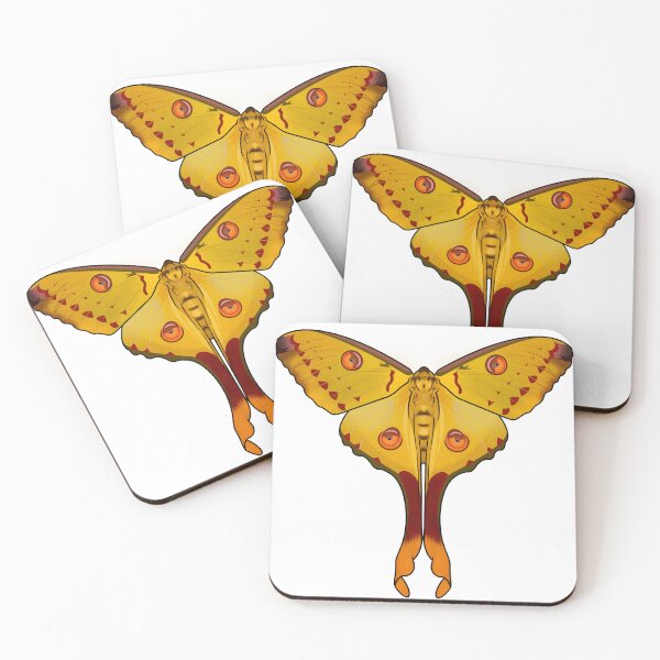 Item preview, Comet Moth designed and sold by SamDaytonArt.