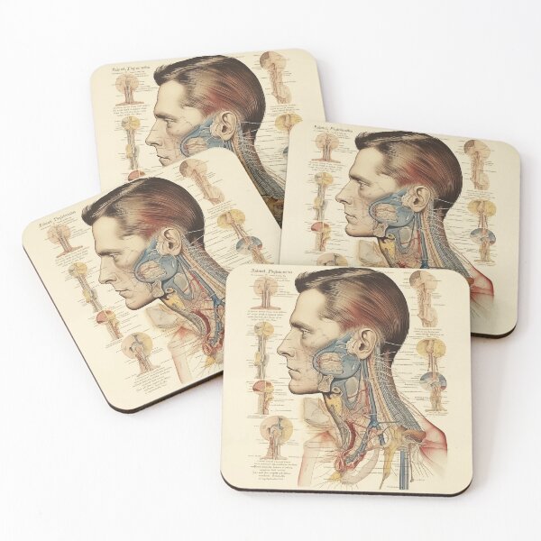 Item preview, Vintage Anatomy art designed and sold by nomiraclehere.