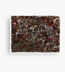 Good days, bad days Canvas Print