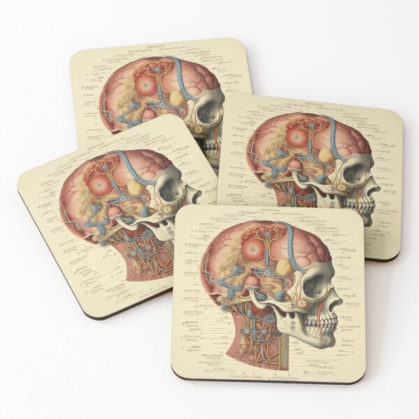 Item preview, Vintage Anatomy art designed and sold by nomiraclehere.