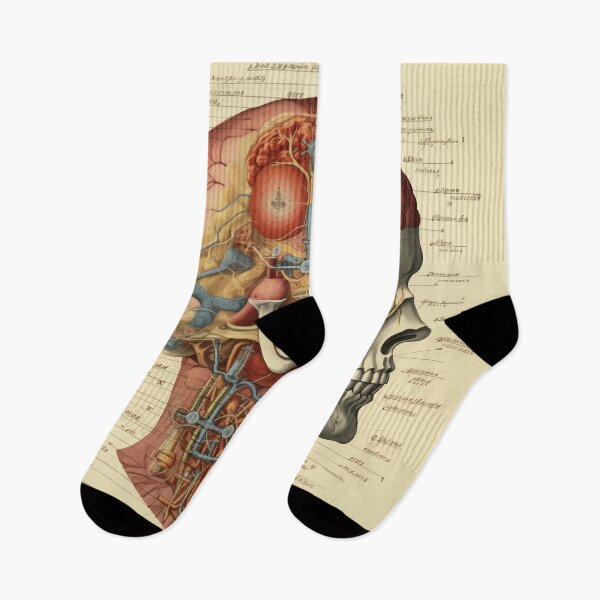 Item preview, Vintage Anatomy art designed and sold by nomiraclehere.