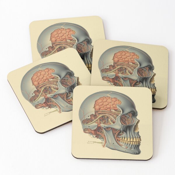 Item preview, Vintage Anatomy art designed and sold by nomiraclehere.