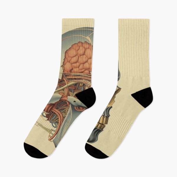 Item preview, Vintage Anatomy art designed and sold by nomiraclehere.
