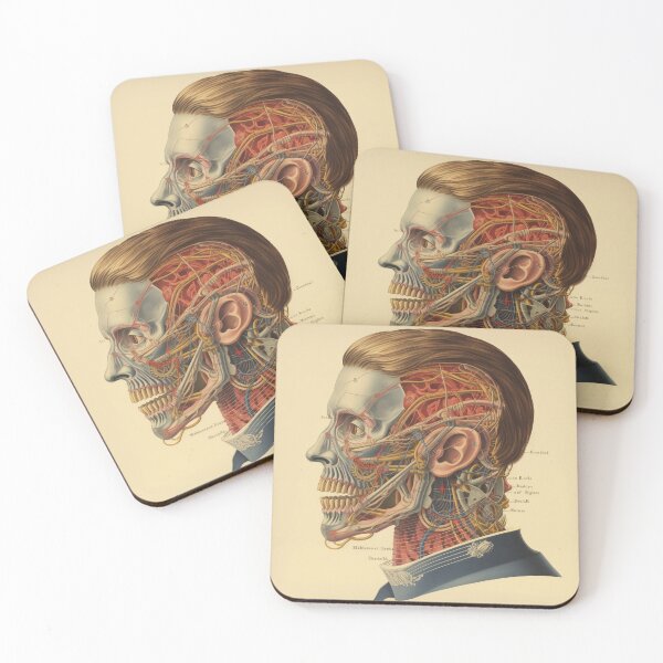 Item preview, Vintage Anatomy art designed and sold by nomiraclehere.
