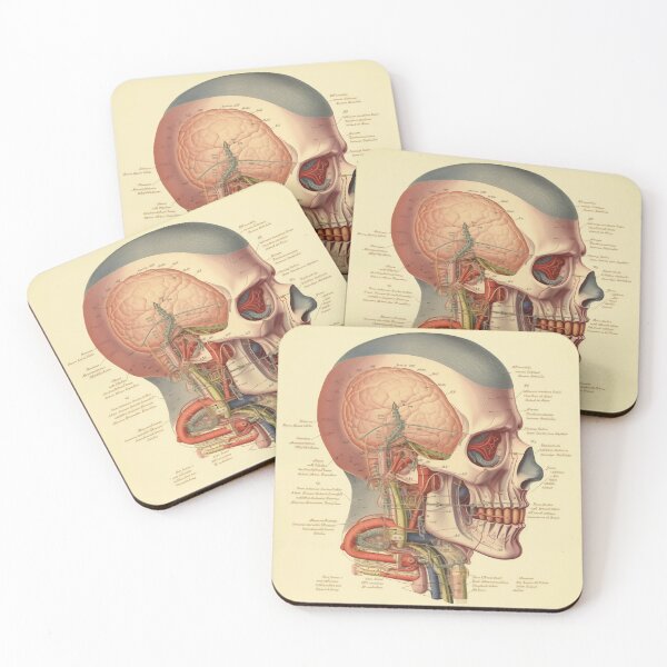Item preview, Vintage Anatomy art designed and sold by nomiraclehere.