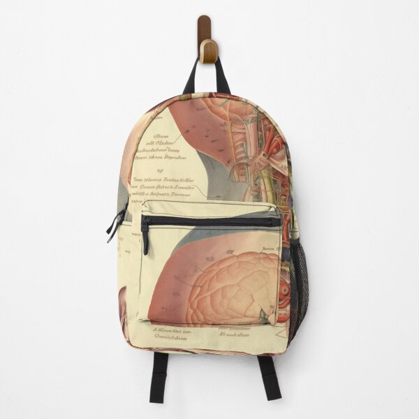 Item preview, Vintage Anatomy art designed and sold by nomiraclehere.