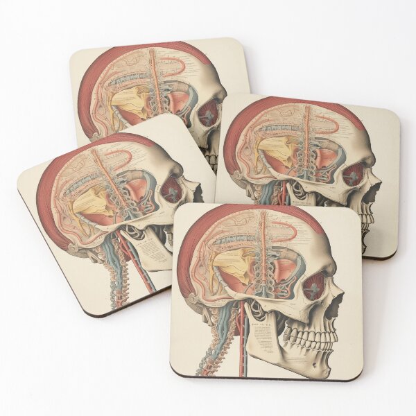 Item preview, Vintage Anatomy art designed and sold by nomiraclehere.
