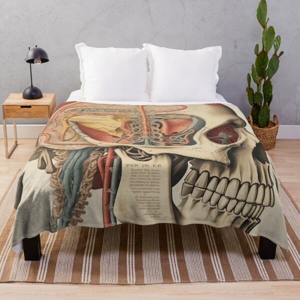 Item preview, Vintage Anatomy art designed and sold by nomiraclehere.