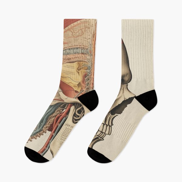 Item preview, Vintage Anatomy art designed and sold by nomiraclehere.