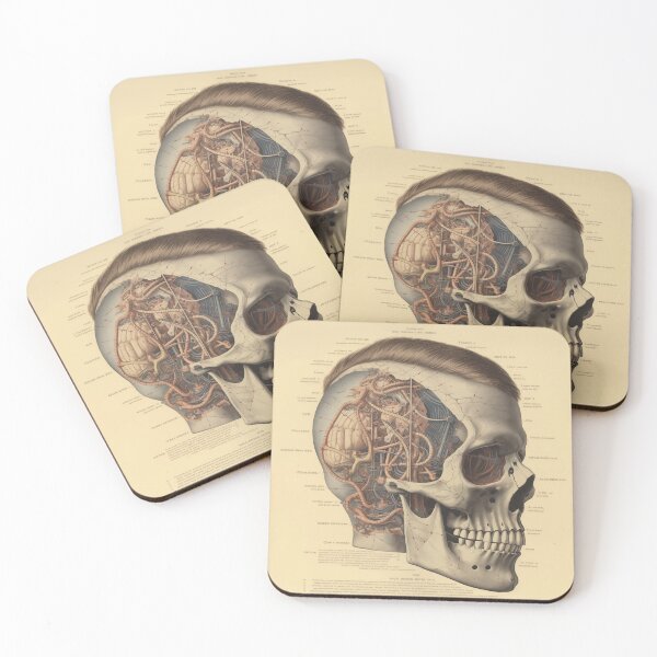 Item preview, Vintage Anatomy art designed and sold by nomiraclehere.