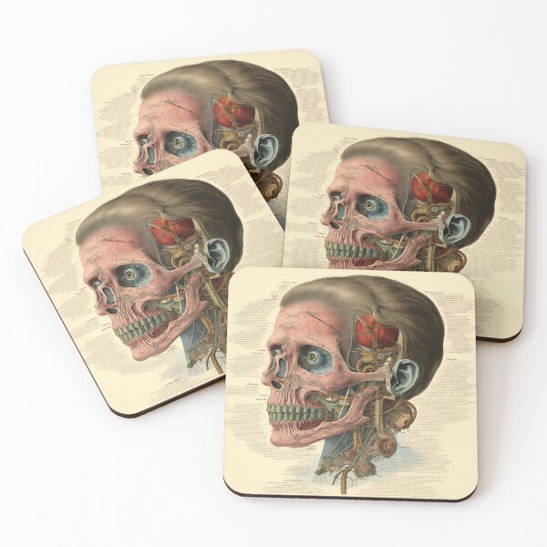 Item preview, Vintage Anatomy art designed and sold by nomiraclehere.