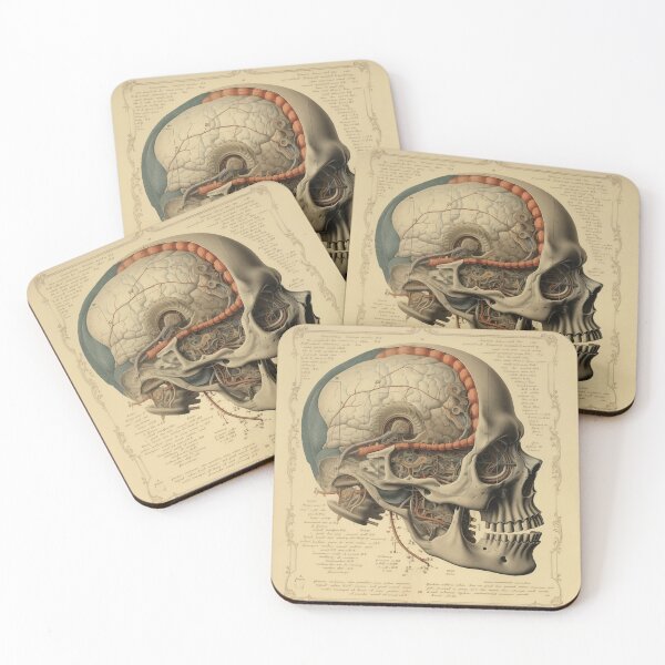 Item preview, Vintage Anatomy art designed and sold by nomiraclehere.