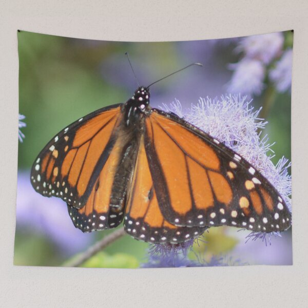 Item preview, Monarch and the purple frost designed and sold by lizdomett.