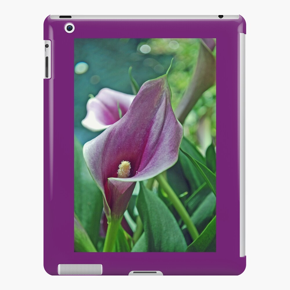 Item preview, iPad Snap Case designed and sold by djsmith70.