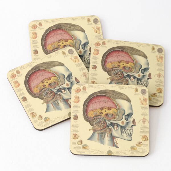 Item preview, Vintage Anatomy art designed and sold by nomiraclehere.