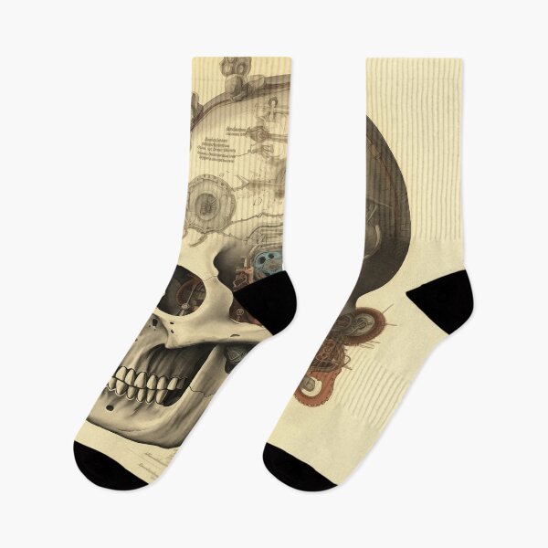 Item preview, Vintage Anatomy art designed and sold by nomiraclehere.