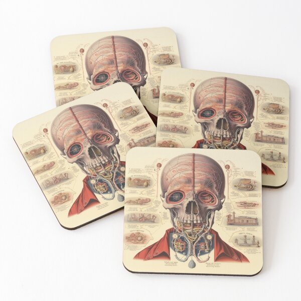 Item preview, Vintage Anatomy art designed and sold by nomiraclehere.