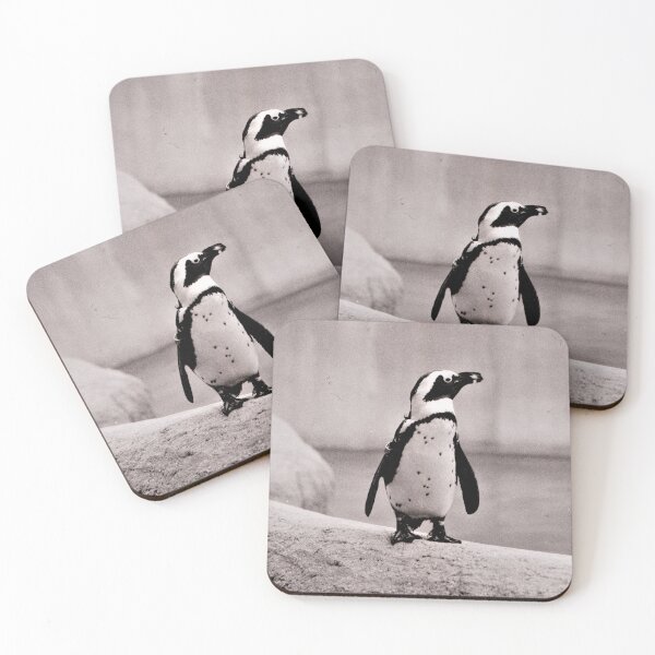 Item preview, Penguin in Zoo designed and sold by Scott and Mary Schneider art_photography.