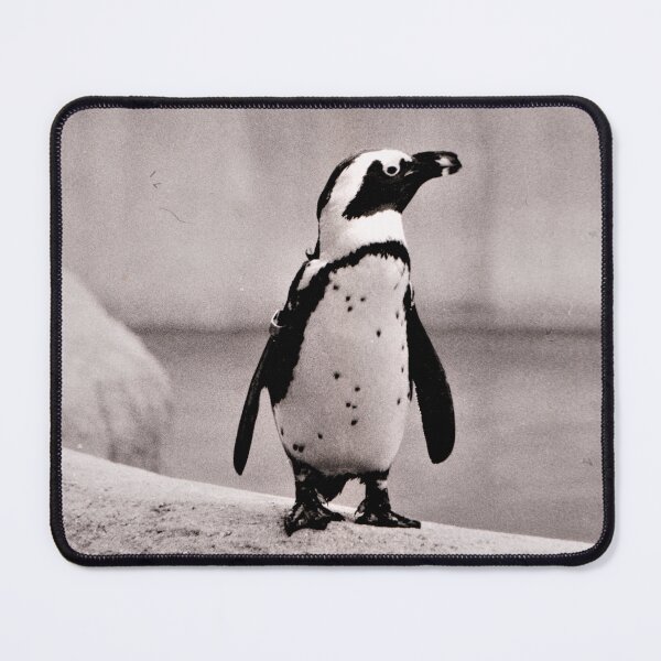 Item preview, Penguin in Zoo designed and sold by Scott and Mary Schneider art_photography.