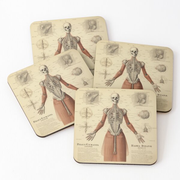 Item preview, Vintage Anatomy art designed and sold by nomiraclehere.