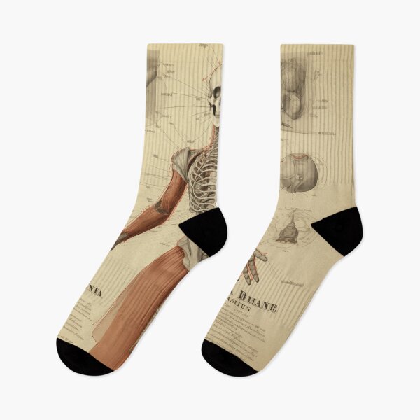Item preview, Vintage Anatomy art designed and sold by nomiraclehere.