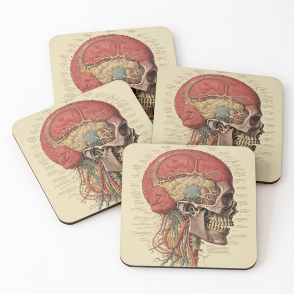 Item preview, Vintage Anatomy art designed and sold by nomiraclehere.