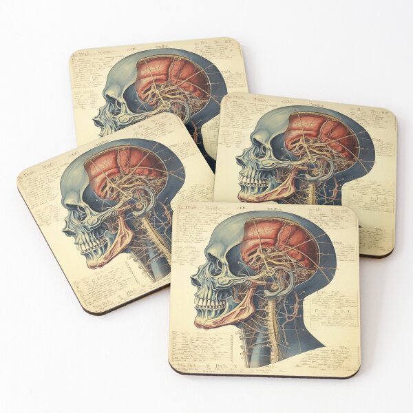 Item preview, Vintage Anatomy art designed and sold by nomiraclehere.