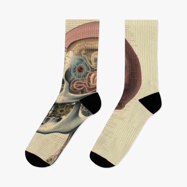 Item preview, Vintage Anatomy art designed and sold by nomiraclehere.