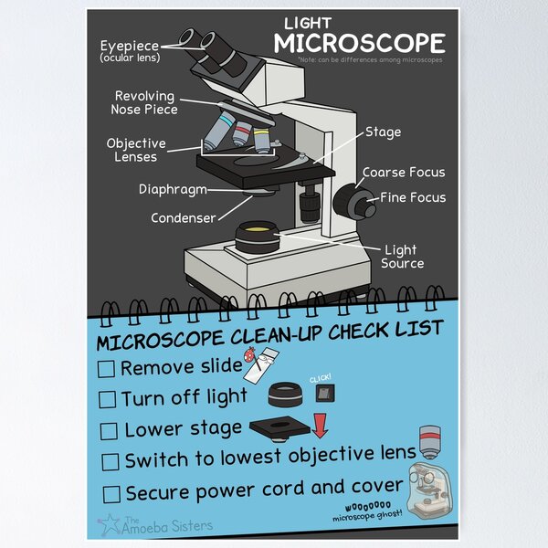 Item preview, Light Microscope Tips designed and sold by The Amoeba Sisters Official Merch Shop.