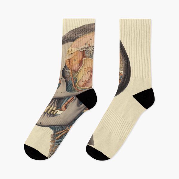 Item preview, Vintage Anatomy art designed and sold by nomiraclehere.