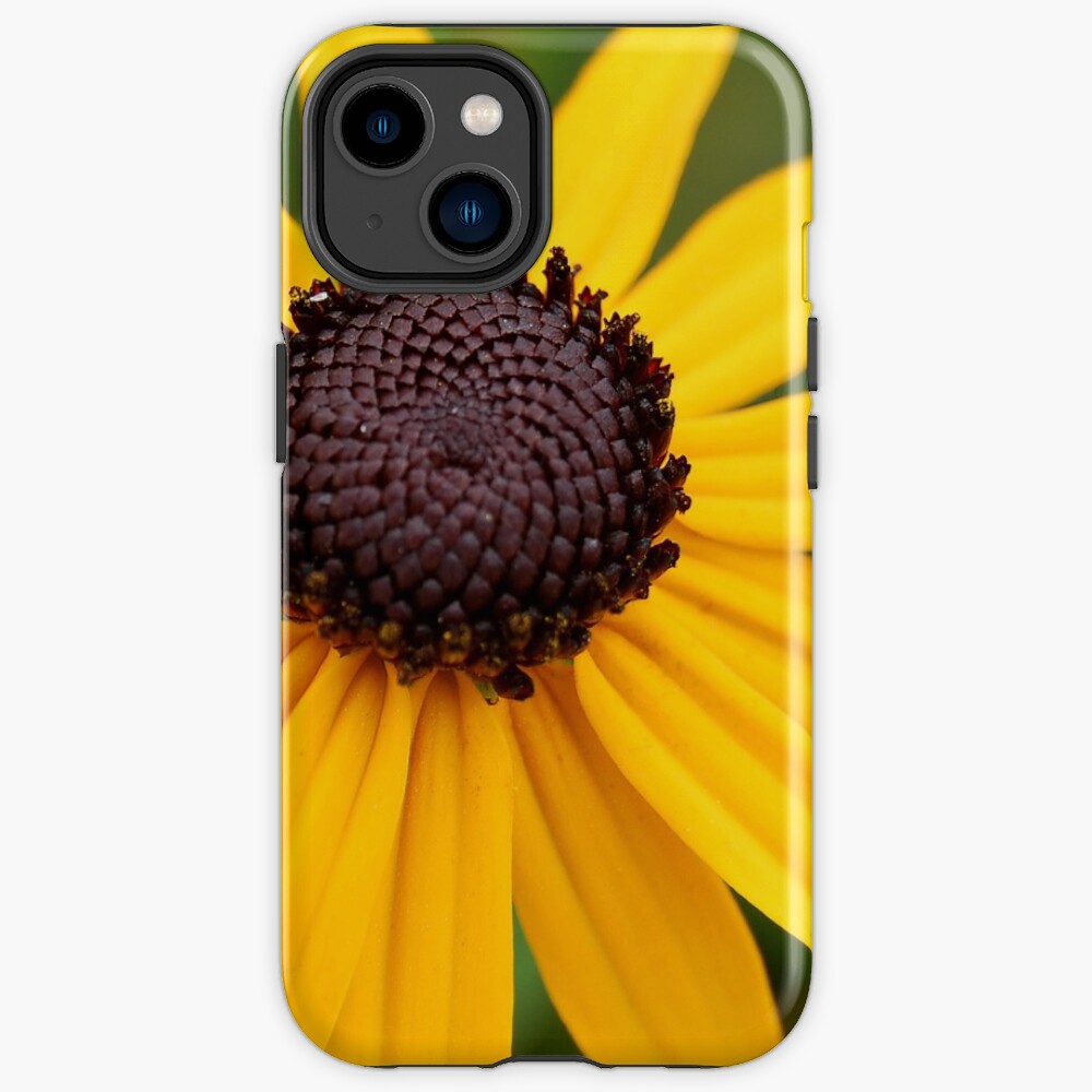 Brown-Eyed Susan iPhone Case