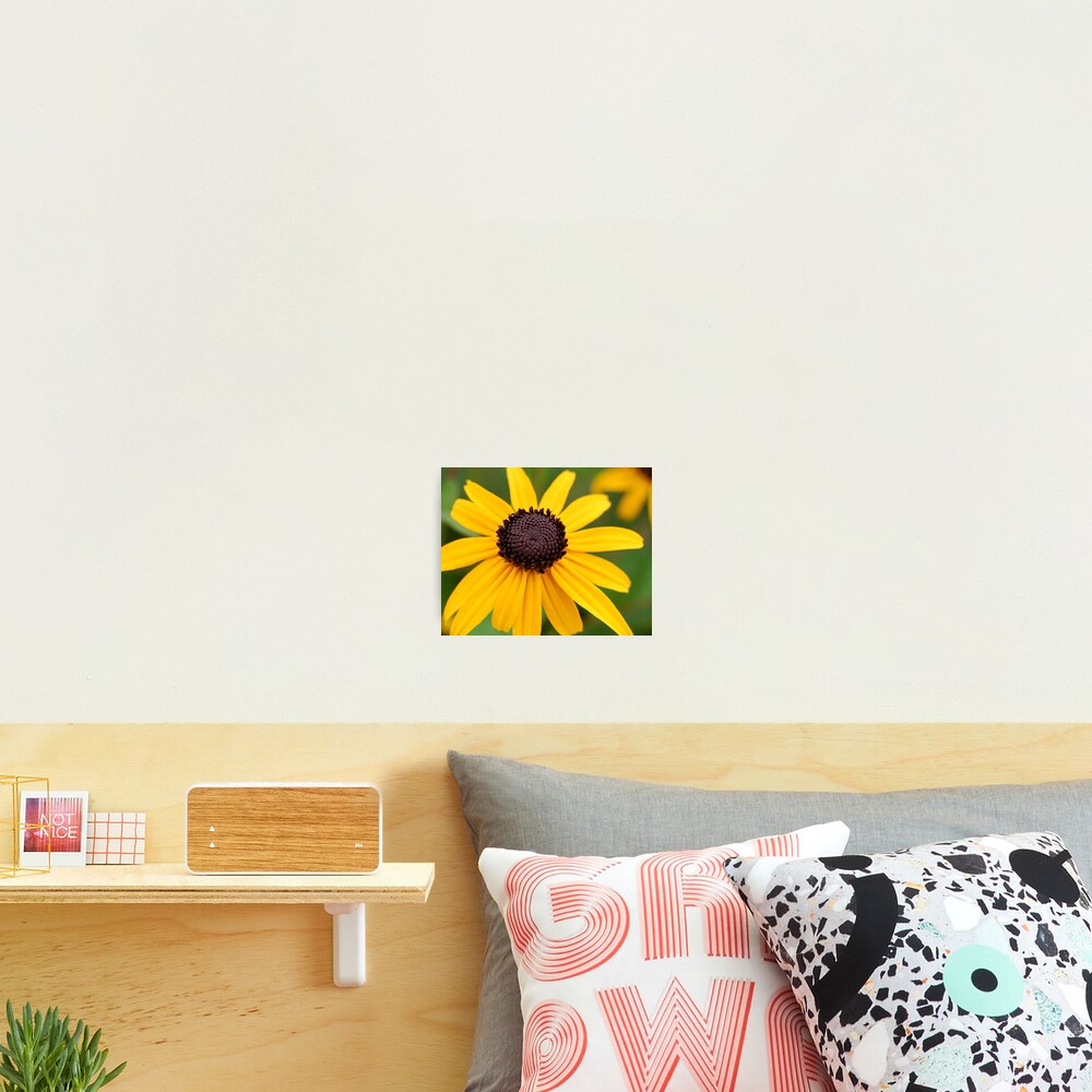 Item preview, Photographic Print designed and sold by djsmith70.