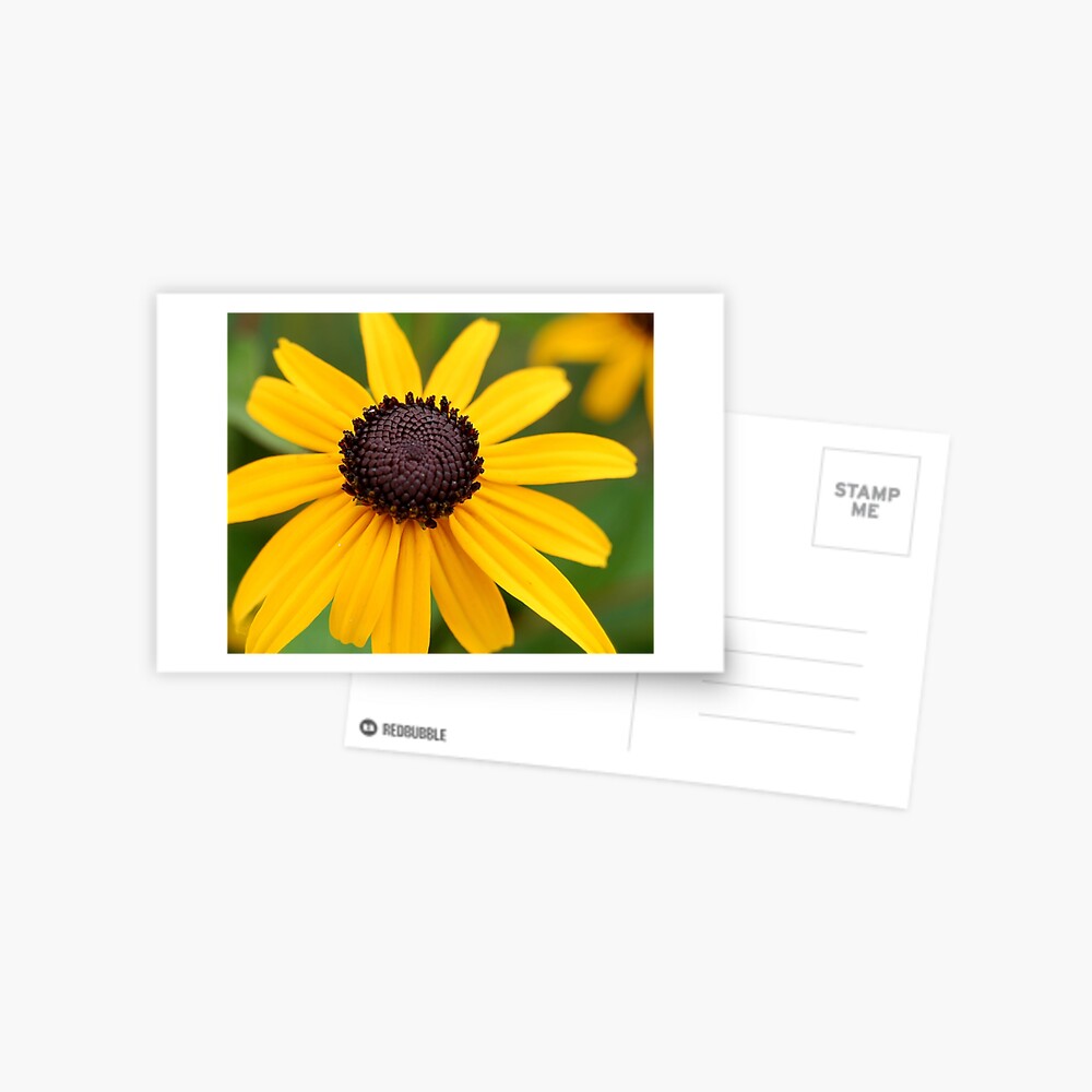 Item preview, Postcard designed and sold by djsmith70.