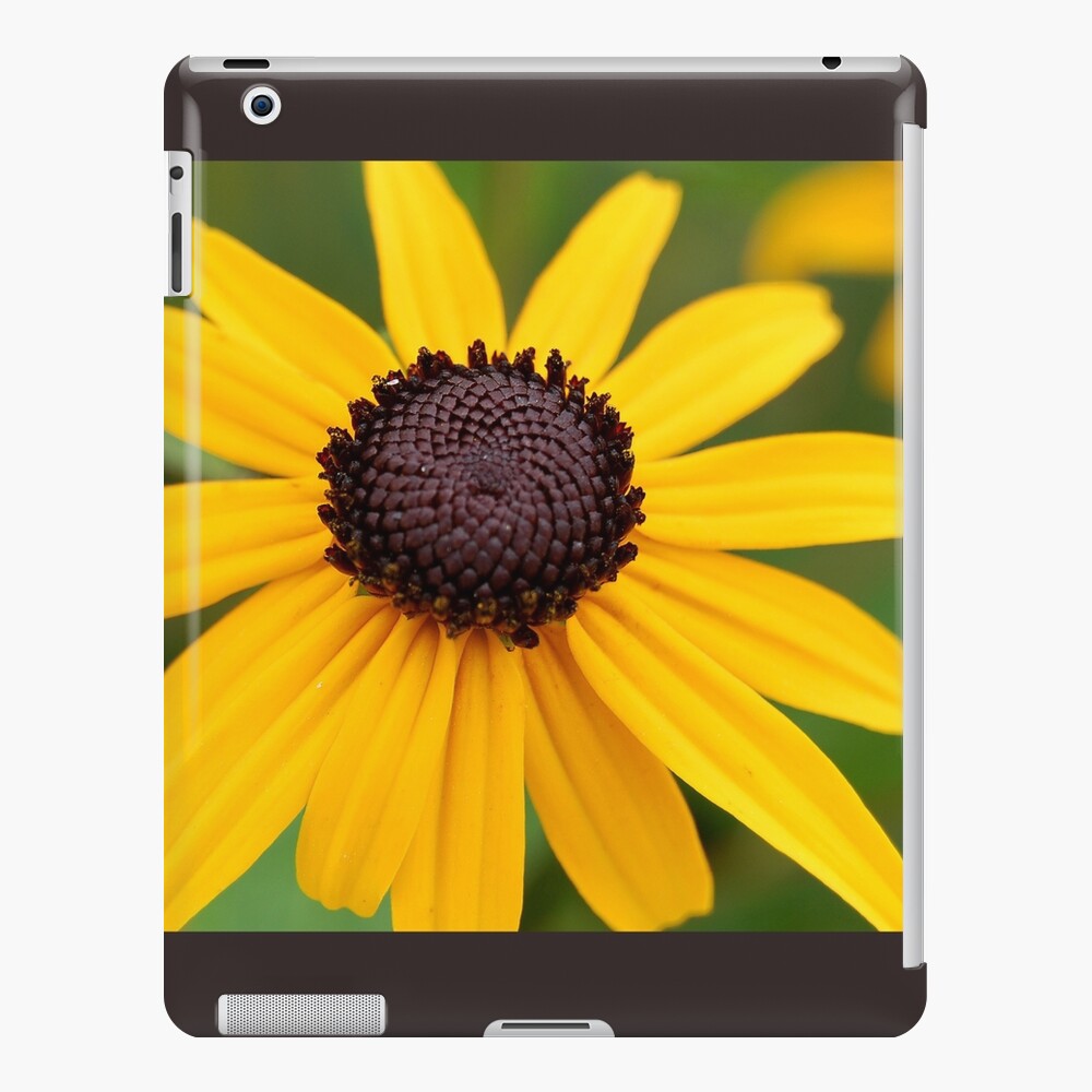 Item preview, iPad Snap Case designed and sold by djsmith70.