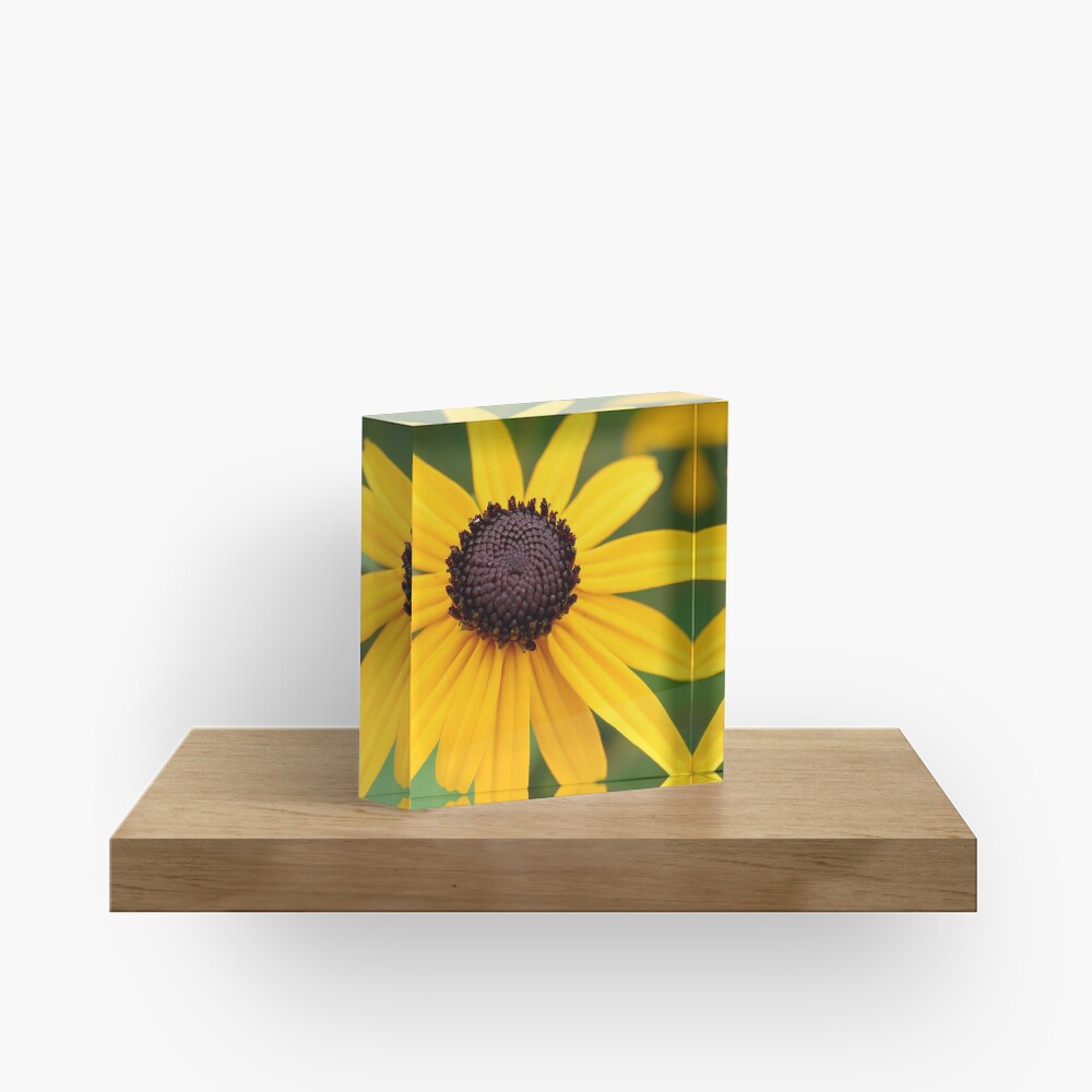 Item preview, Acrylic Block designed and sold by djsmith70.